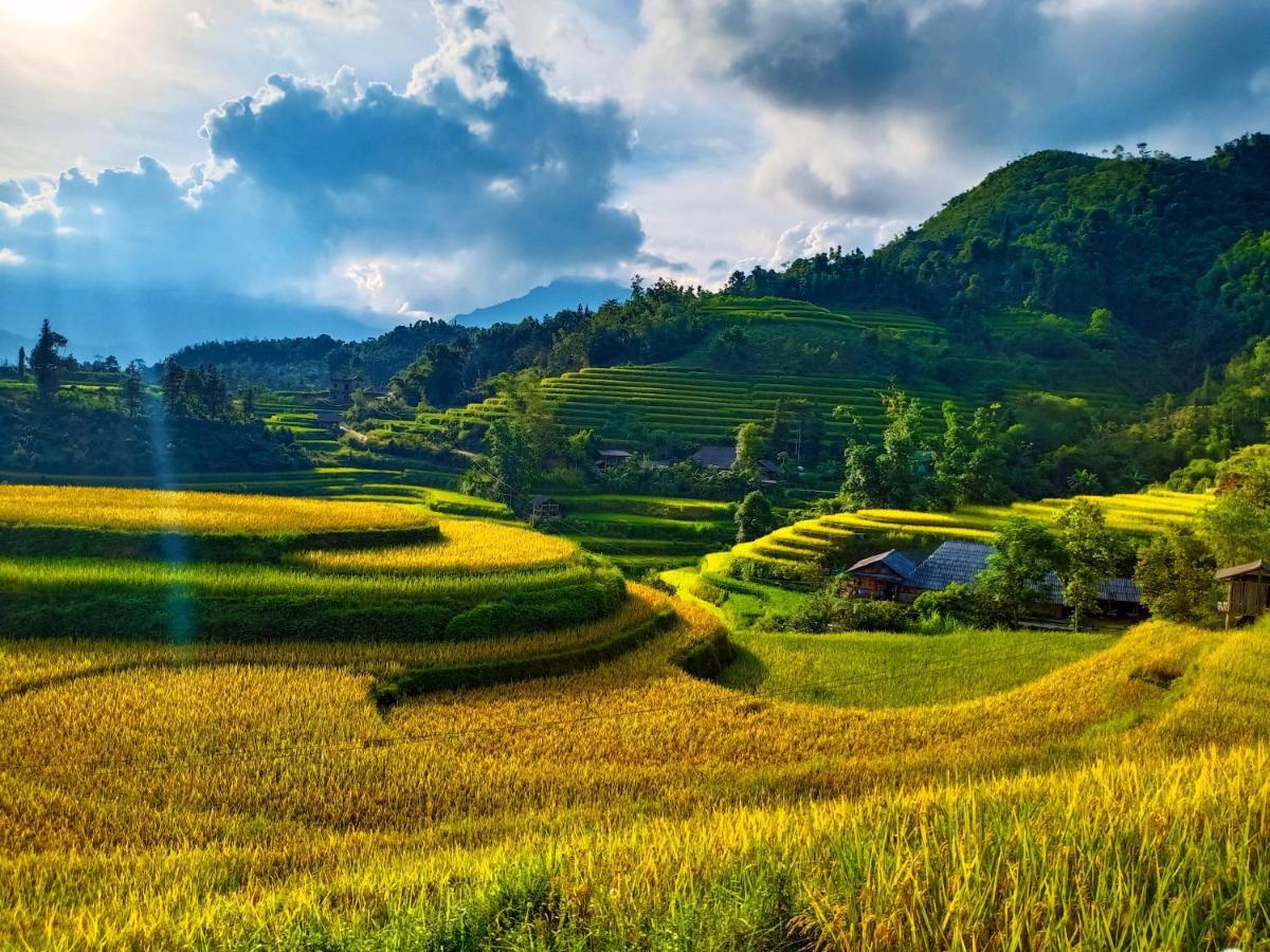 Hoang Su Phi Bungalow Eksteriør bilde