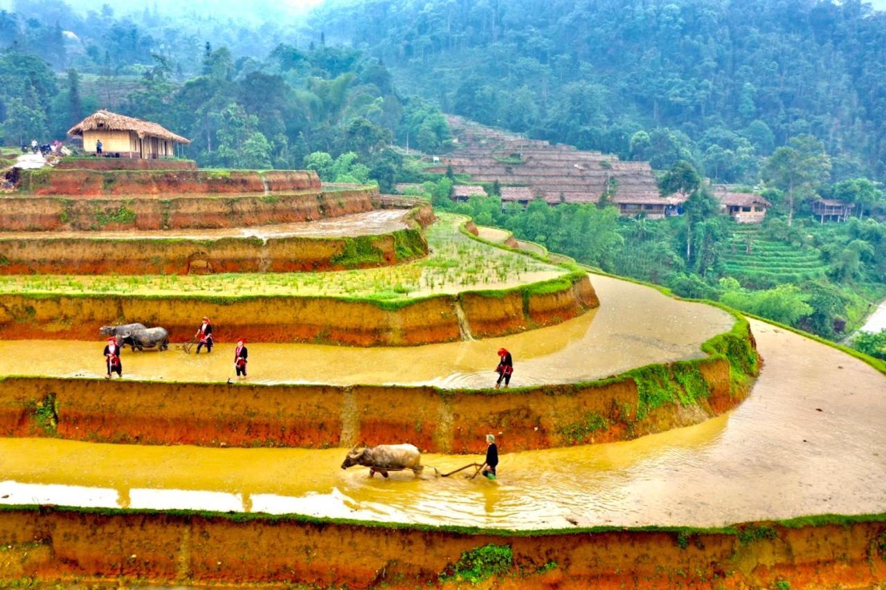 Hoang Su Phi Bungalow Eksteriør bilde
