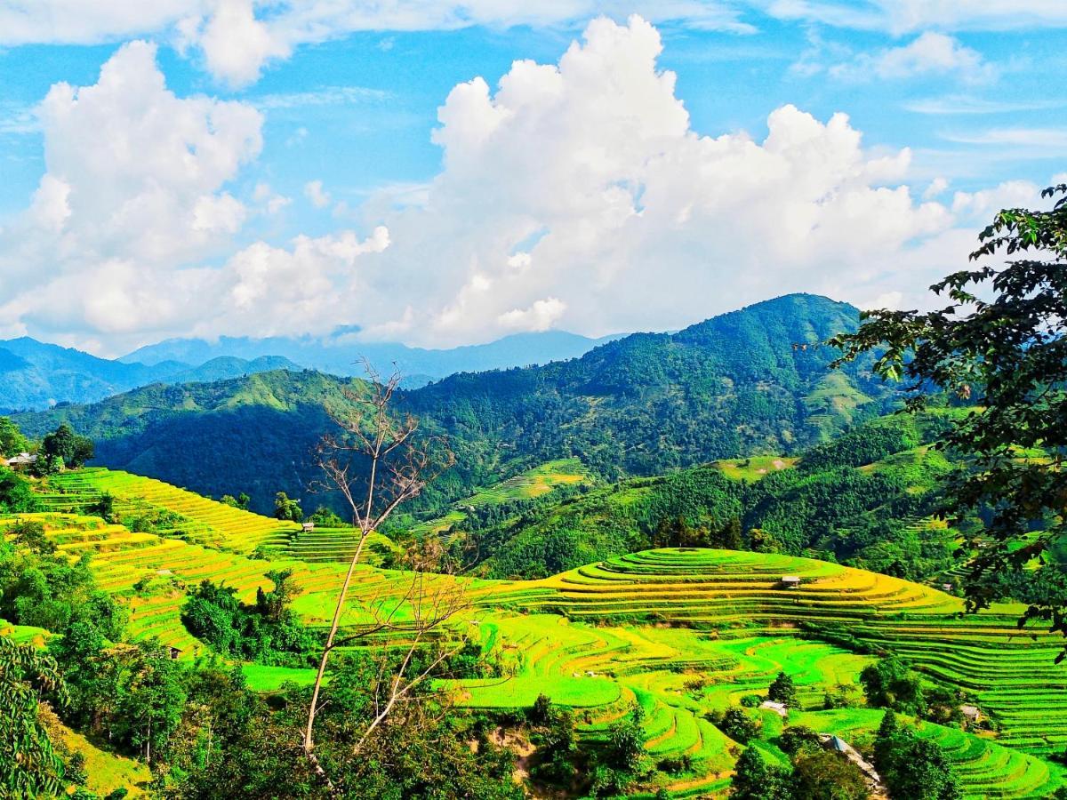 Hoang Su Phi Bungalow Eksteriør bilde