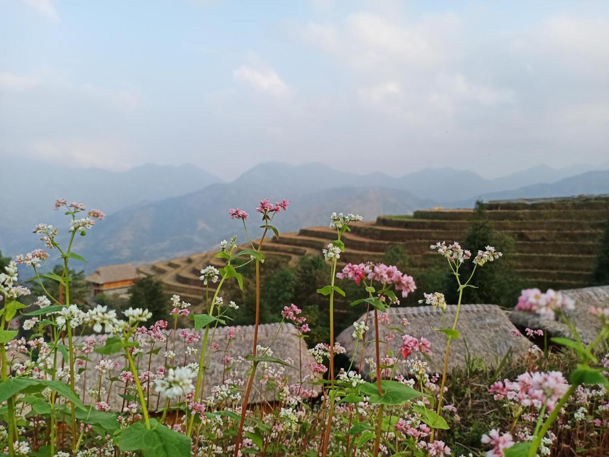 Hoang Su Phi Bungalow Eksteriør bilde